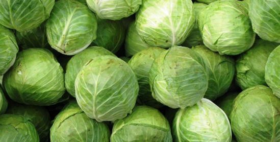 chou pour compresse contre l'arthrose du genou